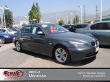 2010 Platinum Grey Metallic BMW 5 Series 528i Sedan #68469224