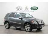 2010 Steel Grey Metallic Mercedes-Benz ML 350 4Matic #68469530