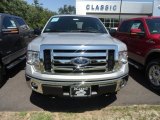 2012 Ingot Silver Metallic Ford F150 XLT SuperCab 4x4 #68469434