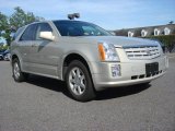 2008 Cadillac SRX V6