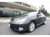 2010 Smoky Granite Mica Lexus ES 350 #68523136