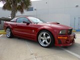 2009 Dark Candy Apple Red Ford Mustang V6 Premium Coupe #68579689