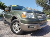 2003 Estate Green Metallic Ford Expedition Eddie Bauer #68665090