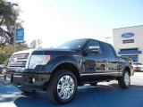 2010 Ford F150 Platinum SuperCrew 4x4