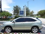 2007 Bamboo Green Pearl Lexus RX 350 #68664575