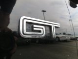 2007 Ford Mustang GT Premium Coupe Marks and Logos