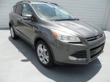 2013 Sterling Gray Metallic Ford Escape SEL 1.6L EcoBoost #68707602