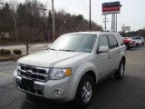 2008 Light Sage Metallic Ford Escape Limited 4WD #6875314