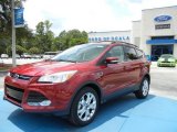 2013 Ruby Red Metallic Ford Escape SEL 1.6L EcoBoost #68829558