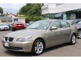 2010 BMW 5 Series 528i xDrive Sedan