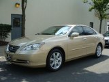 2009 Lexus ES 350