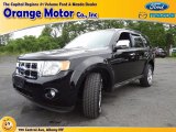 2009 Black Ford Escape XLT V6 4WD #68829738