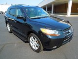 2007 Ebony Black Hyundai Santa Fe Limited #68829995