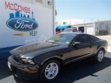 2013 Black Ford Mustang V6 Coupe #68889658