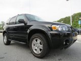 2007 Ford Escape XLT V6 Front 3/4 View
