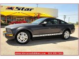 2007 Alloy Metallic Ford Mustang V6 Premium Coupe #68954137