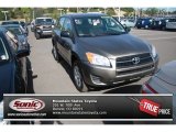 2010 Toyota RAV4 I4 4WD