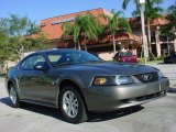 2002 Mineral Grey Metallic Ford Mustang V6 Coupe #687829