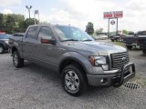 2011 Sterling Grey Metallic Ford F150 FX4 SuperCrew 4x4 #69029110