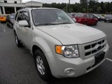 2008 Light Sage Metallic Ford Escape Limited 4WD #69094127