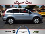 2008 Whistler Silver Metallic Honda CR-V LX 4WD #69093799