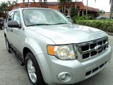 2009 Brilliant Silver Metallic Ford Escape XLT V6 #69213771