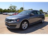 2013 Platinum Gray Metallic Volkswagen Passat 2.5L SE #69214045