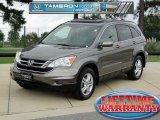 2010 Urban Titanium Metallic Honda CR-V EX-L #69214242