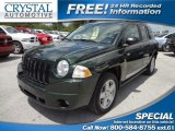Natural Green Pearl Jeep Compass in 2010