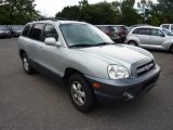 2006 Pewter Hyundai Santa Fe GLS 4WD #69404631