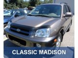 2006 Pewter Hyundai Santa Fe GLS #69404406