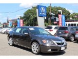 2010 Acura RL Technology