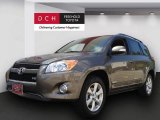 2009 Pyrite Mica Toyota RAV4 Limited V6 4WD #69461391