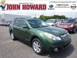 2013 Cypress Green Pearl Subaru Outback 2.5i Premium #69523904