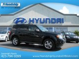 2010 Ford Escape Limited V6 4WD