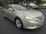 Camel Pearl Hyundai Sonata in 2011