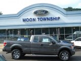 2012 Sterling Gray Metallic Ford F150 XLT SuperCab 4x4 #69622308