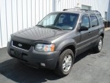 Dark Shadow Grey Metallic Ford Escape in 2003