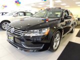 2012 Volkswagen Passat 2.5L SE