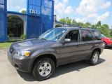 Dark Stone Metallic Ford Escape in 2006