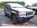 2004 Graphite Metallic Jeep Grand Cherokee Limited 4x4 #69657261