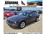 2007 Alloy Metallic Ford Mustang V6 Deluxe Coupe #69727745