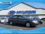 2009 Hyundai Sonata GLS