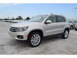 2013 Volkswagen Tiguan SE