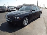 2013 Dodge Charger SE