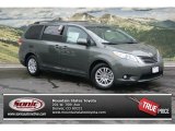 2013 Cypress Green Pearl Toyota Sienna XLE #69727532