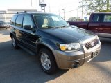 2006 Black Ford Escape XLT V6 4WD #69792271