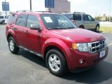 2009 Sangria Red Metallic Ford Escape XLT V6 #69791732