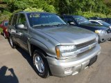 2002 Light Pewter Metallic Chevrolet TrailBlazer LS 4x4 #69791871