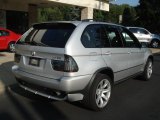 Titanium Silver Metallic BMW X5 in 2005